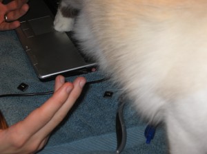 Laptop 007
