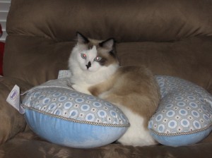 IMG_2563