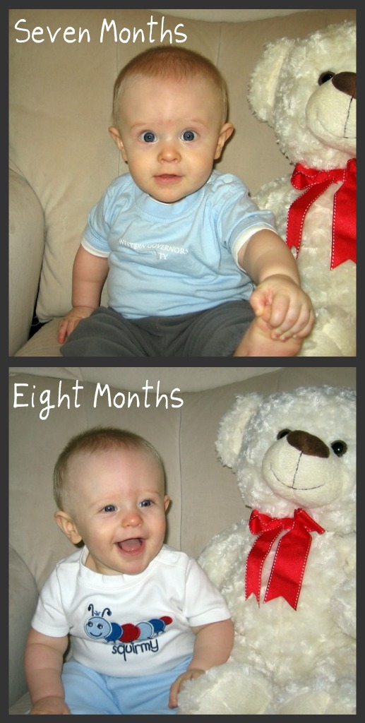 7 and 8 Month